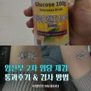 11650-16-152-1 | 임당 1차 152 찍고 재검… 결국 2차 재검 정상 나왔어요(꿀팁!)