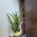 주식회사이상 이미지