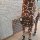 연세인치과의원 이미지