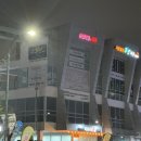 죽도해삼 이미지
