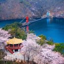 향진먹거리 이미지