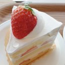 화정역 맛집 대형 베이커리 카페 블레블레 화정