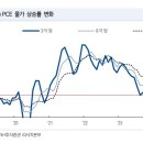 보라PCE
