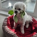 휴사우나헬스 | 12월 몽땅 때려넣기🎄🎅