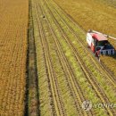 작년 농업소득 26.8% 급감…산지가격 하락에 역대 최대 감소 이미지