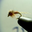 biot body sulfer emerger 이미지