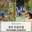 뽑기방GO | 경주가볼만한곳 아이랑 놀만한곳 주렁주렁 보문관광 후기