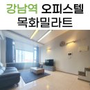 목화부동산공인중개사사무소 이미지