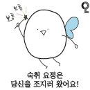 똥강지 이미지