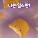 태선 티스토리