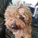 포승원정길 이미지