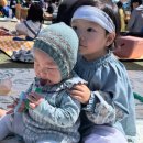 과천농원 | 아이랑 가볼만한 곳 | 과천 포니랜드 후기 🐴 (무료입장 + 포니체험 + 바닥분수 )