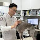 이기쁨동물병원 | 위례24시동물병원, 재방문율 98% 이상의 잠실ON이 보호자님들께 선택을 받은 이유는?