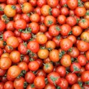 고건농장 이미지