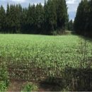 농지목장 이미지