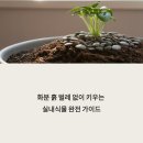 흙 이미지