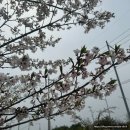 동탄 수질복원센터 파크골프장 이미지