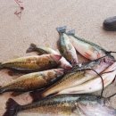 백곡쉼터 이미지