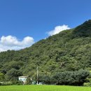 동상빌라 | 전주 근교/완주 애견 동반 가능한 계곡, 동상계곡 대추나무산장 후기!