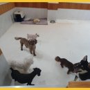 바우밸리 이미지