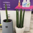 이니헤어살롱 이미지