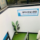 리틀애견 이미지