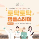 대원사 | 정토사 템플스테이 1박 2일 솔직후기!