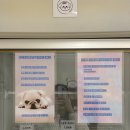 씨유진주칠암우리 | 📍진주 [여니네펫공방] 강아지 반응 최고 수제간식 만들기