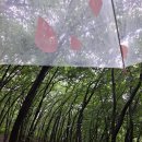 계남공원(신정산) 유아숲체험원 이미지
