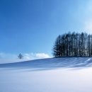 우쿨렐레 연주 이미지