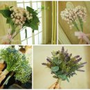 신흥로8R | 의정부 웨딩 러블리한 스튜디오에서~