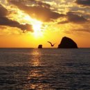 독도 카 서비스 이미지