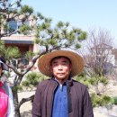 양정달마루마을 네이버블로그
