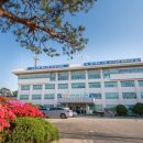 거진초등학교 이미지