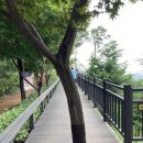 근린제3공원 Daum카페