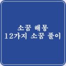 소꿈해몽 12가지 소꿈 상황별 풀이 이미지