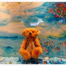 제주테디베어뮤지엄 이미지