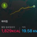 516로 | 여자 혼자 11월 한라산 성판악 코스 첫 등산 후기(탐방예약/실패후기 포함)