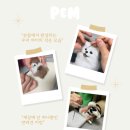 P&M 반려견교육센터 대전점 이미지