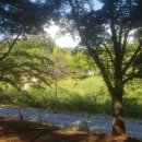 화이트이글 골프&amp;스테이 | 판교 현대백화점 휴무일,층별,식당가,전화번호등 안내