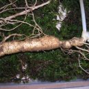 박찬동농장 이미지