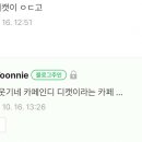 디캣 네이버블로그
