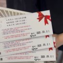 금자노래클럽 | 불후의 명곡 이영애 특집 방청 신청 하는 법 및 후기 (250913 방송)