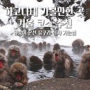 신사2-042 | 하코다테 겨울 여행 코스 가볼만한곳 추천 원숭이 온천 유쿠라 신사