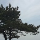 커피홀베이커리 청포대점 방문 후기 - 인생샷 야외 벤치, 청포대 해수욕장 모래사장 해변 산책가능한 카페