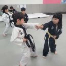 특경합기도 연무관 네이버블로그