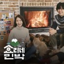 연다민박 이미지