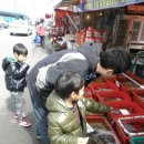 곰섬올레