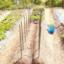 현준농장 이미지