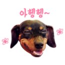 똥꼬들의 수다 이미지